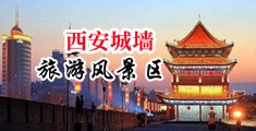 挤屄裤中国陕西-西安城墙旅游风景区